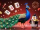 Experience thrilling live betting action with VaoroiTV featuring a peacock and butler penguin amidst festive casino elements.